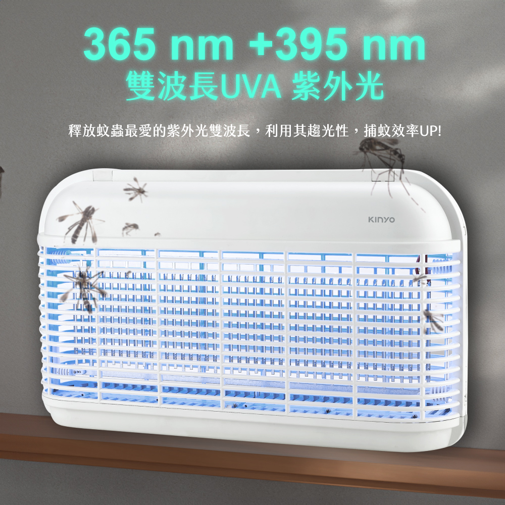 KINYO KL-8121 - 詳情3